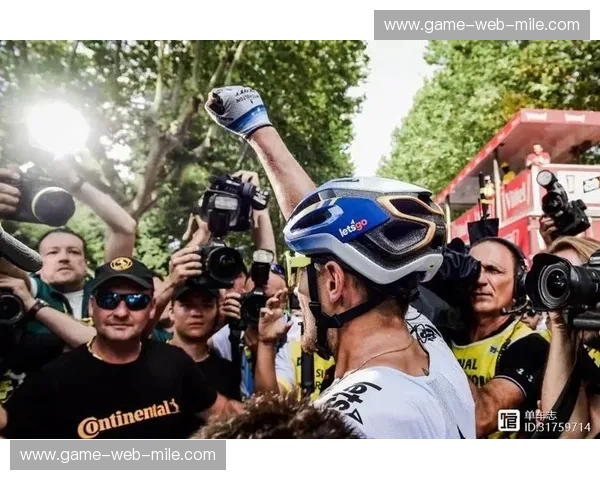 预测自行车：让每一次出行都先知先觉